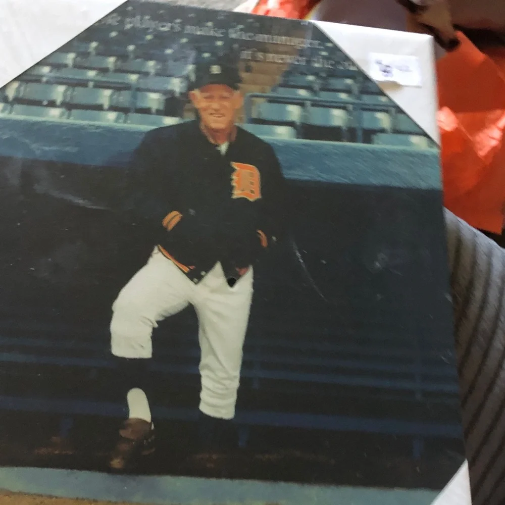 Vintage Detroit Tigers Photograph Panel - Black & White with Orange Logo
